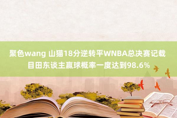 聚色wang 山猫18分逆转平WNBA总决赛记载 目田东谈主赢球概率一度达到98.6%
