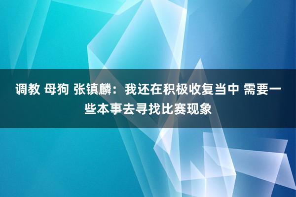 调教 母狗 张镇麟：我还在积极收复当中 需要一些本事去寻找比赛现象