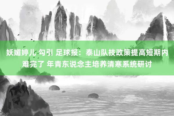 妖媚婷儿 勾引 足球报：泰山队技政策提高短期内难完了 年青东说念主培养清寒系统研讨