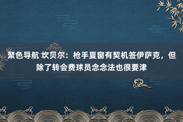 聚色导航 坎贝尔：枪手夏窗有契机签伊萨克，但除了转会费球员念念法也很要津